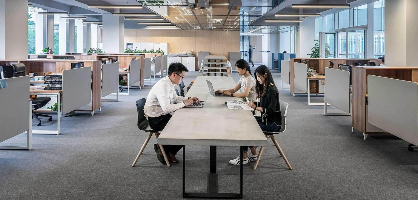 Business setup planning